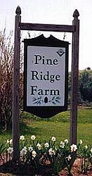 Pine Ridge Farm Logo